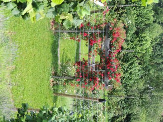 Our eco farms