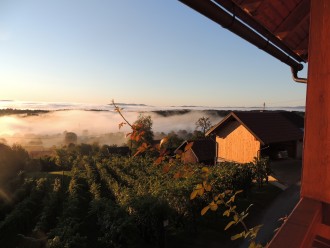 Our eco farms