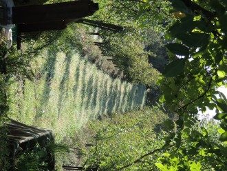 Our eco farms