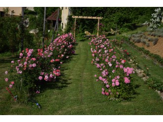 Our eco farms
