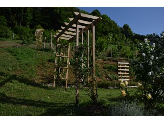 Our eco farms