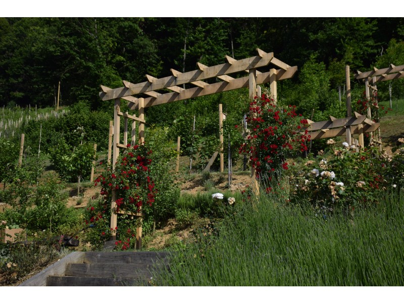 Our eco farms